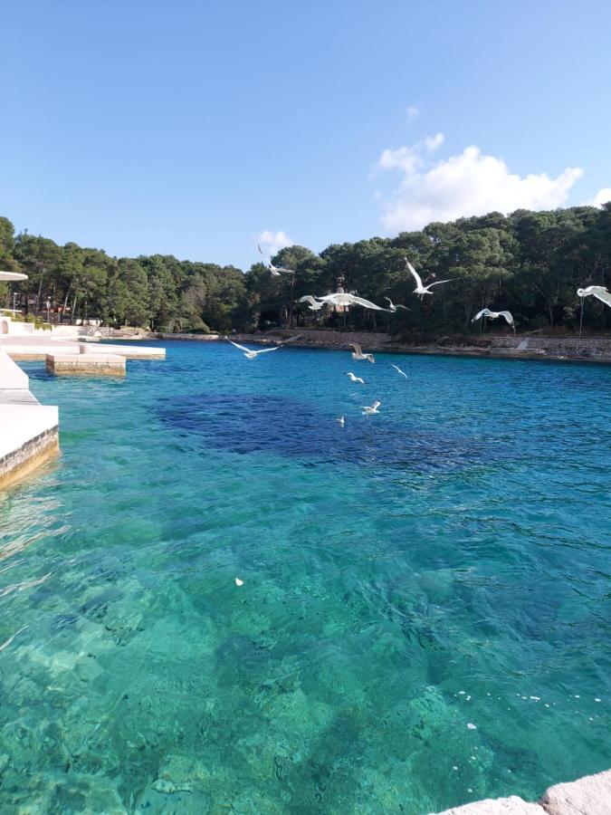 Villa Sommerzauber Apartman 1 Mali Lošinj Exteriör bild